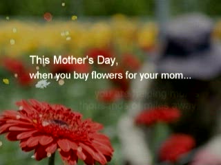 Mother's Day Mystery Solved: Why Moms Really Love Flowers