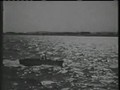 Harbor Command - www.nostalgiamerchant.tv