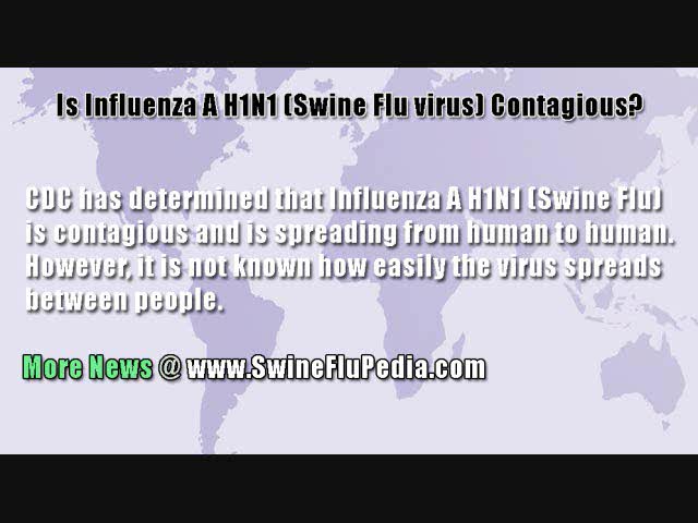 Is Influenza A H1N1 (Swine Flu) Contagious?