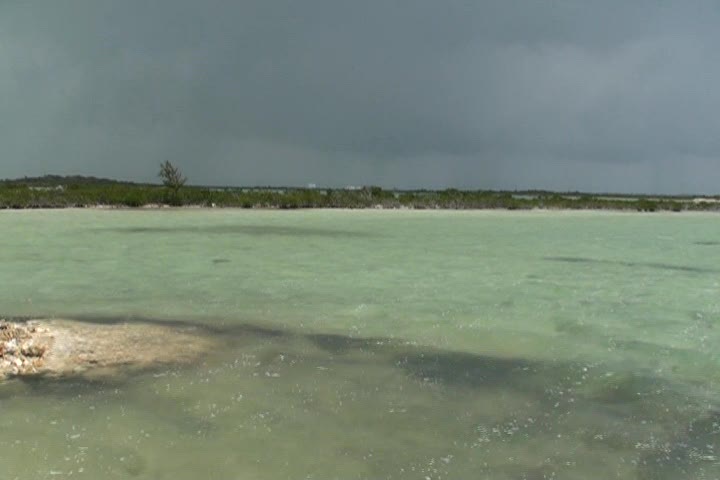 Mayan Islands Marina | San Pedro Belize | Slips for Sale