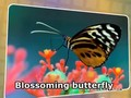 Blossoming butterflies