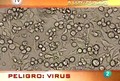 Documentos TV T22; Peligro; Virus (14-04-09).avi