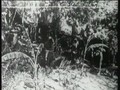 Tarzan of the Apes - 1918 Divx.avi