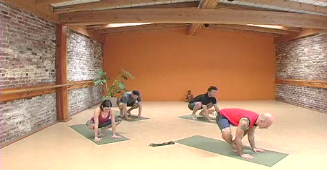 Yoga With Les Class 14 â Arm Balancing