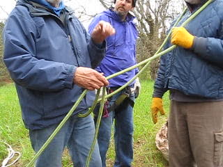 How to Tie a Blakes Hitch for Tree Climbing