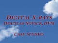 Digital X-rays Case Studies Douglas Novick DVM