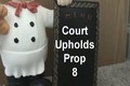 California Court Upholds Prop 8 Ã¢ÂÂ Luigi Celebrates!