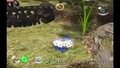 replay_pikmin_2day-1