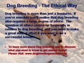 Dog Breeding - The Ethical Way