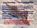 Dog Breeding â The Fundamentals