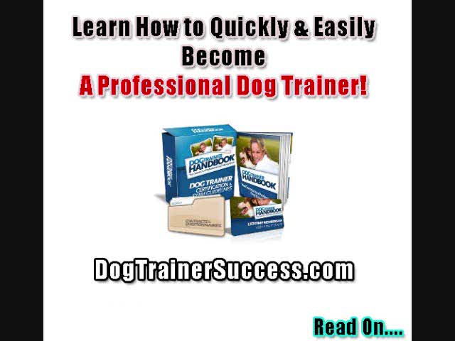 How To Become a Dog Trainer