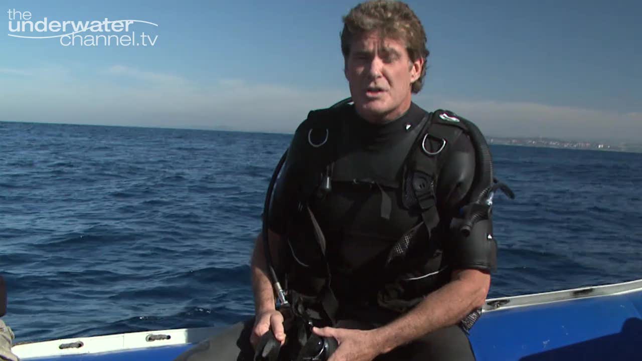 "The Hoff" Supports World Oceans Day!