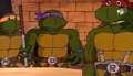 S01E01 - Sur la piste des tortues