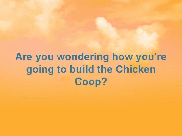 How To Build a Chicken Coop in 3 Days: step-by-step guide