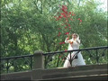 Love Walk Funny & Humor Toronto Chinese wedding video videography & photography