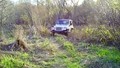 Gina's Jeep on a Trail
