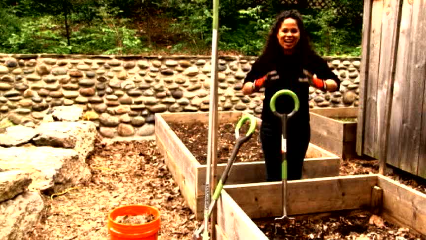 Vegetable Garden: Three Sisters Companion Planting