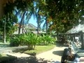 Westin Bali Resort Nusa Dua with City DMC