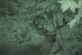 Hunting Mature Whitetail's with night vision July 8 ONLY on HawgNSonsTV!