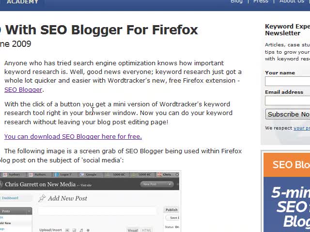 How to use SEO Blogger A Firefox Plugin