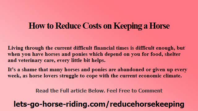 How to Reduce Costs on Keeping a Horse