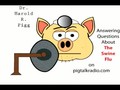 What is the swine flu?