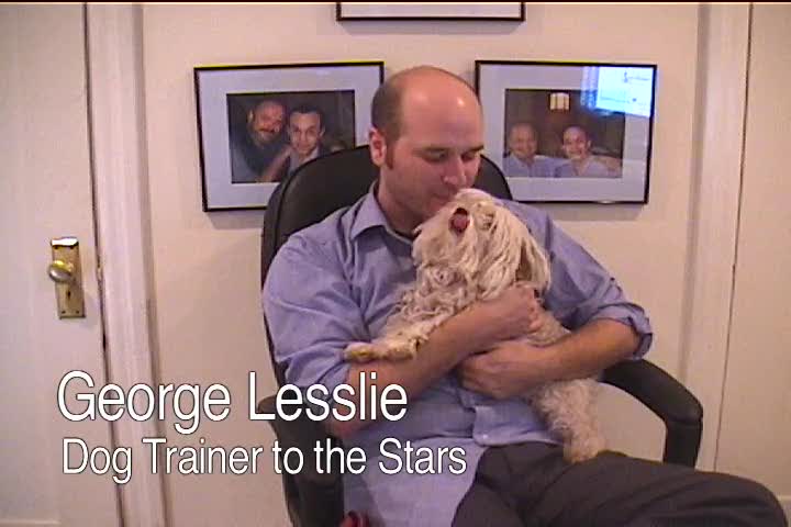 UCAP: Dog Trainer To The Stars (Cute Dog)