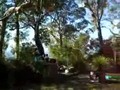 Picnic on Mount Nebo, Brisbane, Australia