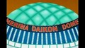 Daikon Eleven