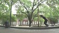 NYC Parkour