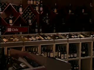MoboVivo.com - Take Wine Basics With You!