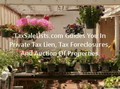 Get Help To Make Money From Tax Sales