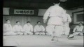 The Essence of Judo