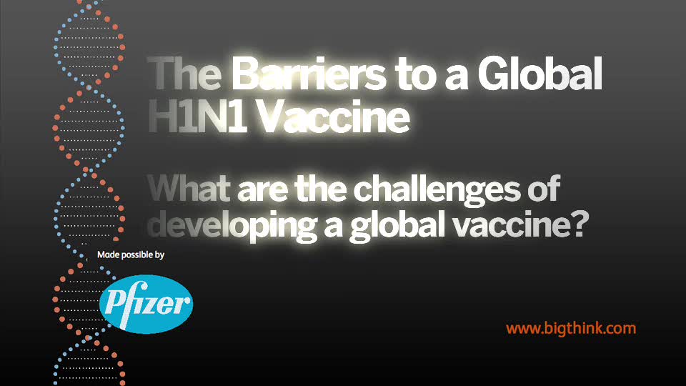The Barriers to a Global H1N1 Vaccine