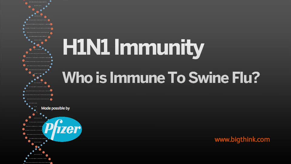 Why Older People Have Greater Immunity to Swine Flu