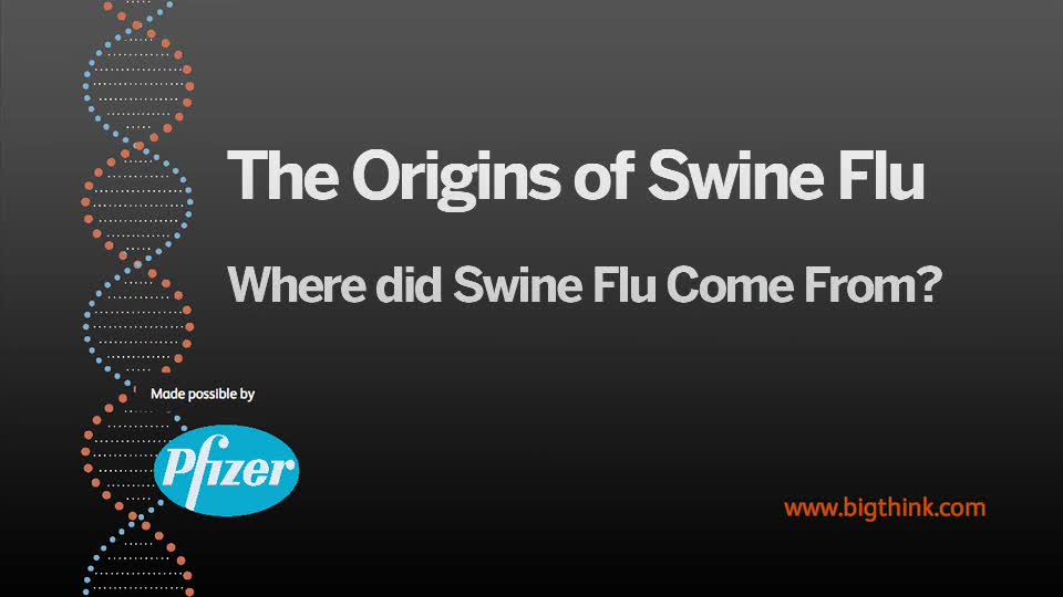 The Origins of Swine Flu