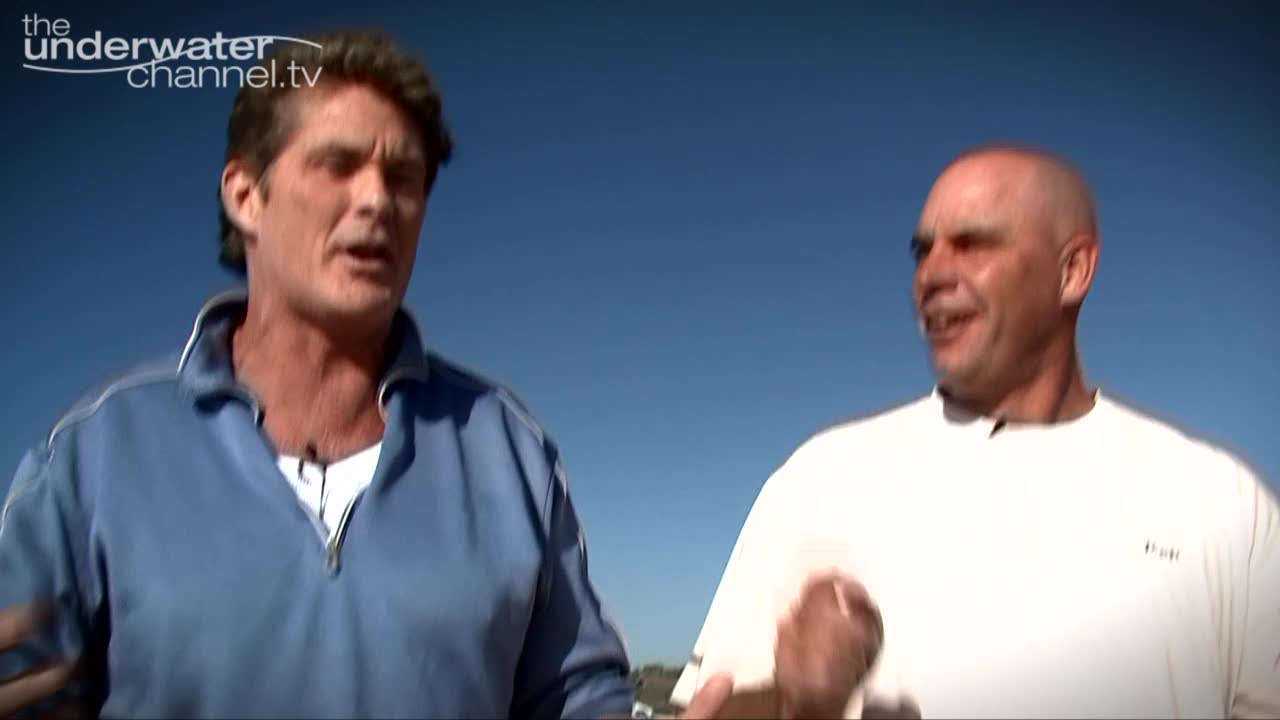 David Hasselhoff diving with the Sharks