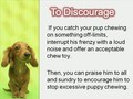 How to Stop Excessive Puppy Chewing