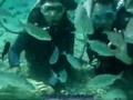 [ Turkey ] Scuba Diving Marmaris