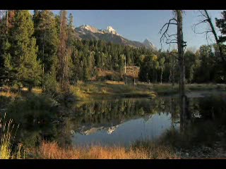 Grand Teton National Park Wildlife Expeditions