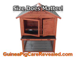 Guinea Pig Cages-Design What is Comfy for Your Guinea Pig