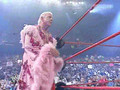 the Nature Boy Ric Flair careere ending match vs HHH the game