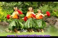 Hawaii Activities - Hawaii tour - Things to do in Hawaii