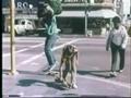 Skateboard Sense Vintage 1960's Sidewalk Surfing Film