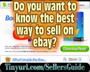 Ebay Sellers Guide - Ebay is a virtual "hot-bed" of people