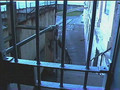 Alcatraz 1998 Part 2 of 2
