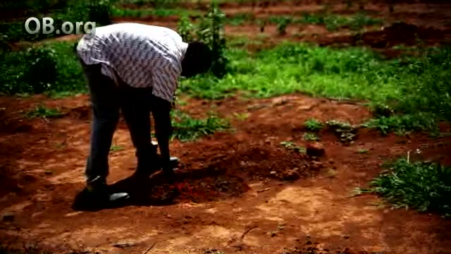 Senegal Agriculture Project