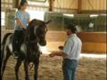 Sarah's first trot on CP Smooth Operator.wmv