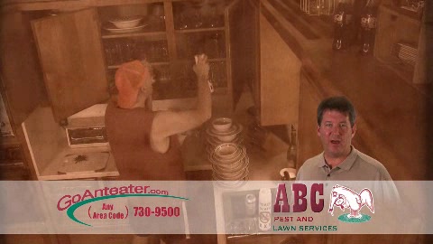eyecon Video Productions - ABC Pest and Lawn 5