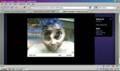 Goo webcam test